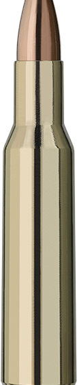 Schiesssport Shop RWS .222 Teilmantel Patrone