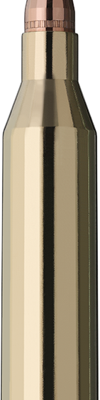 Schiesssport Shop RWS .243 Win Kegelspitz Patrone
