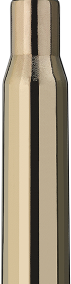 Schiesssport Shop RWS 30 06 Patrone