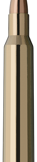 Schiesssport Shop RWS 5,6x50 R Mag. Teilmantel Patrone