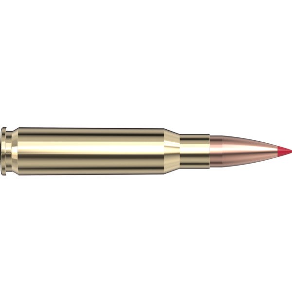 Schiesssport Shop 80966 308 win hornady