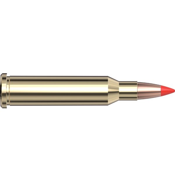 Schiesssport Shop 83005 17 hornet 20 gr v max superformance varmint