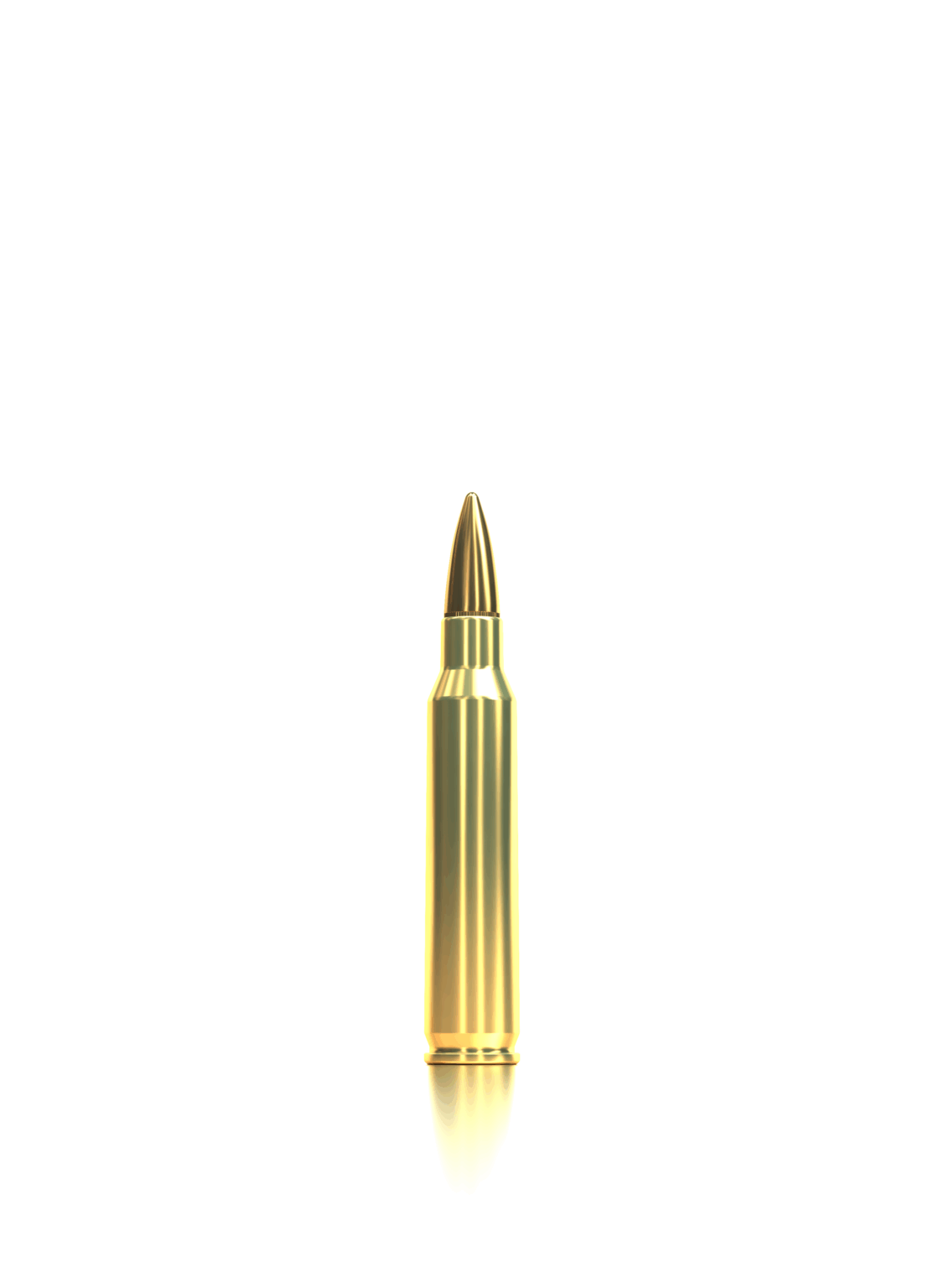 Schiesssport Shop V341872 sellier bellot 223 remington